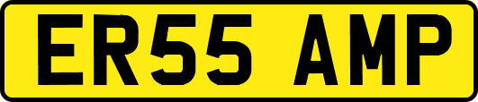 ER55AMP