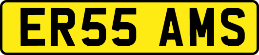 ER55AMS