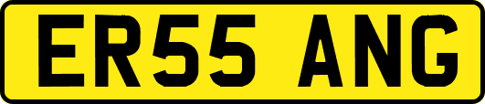 ER55ANG