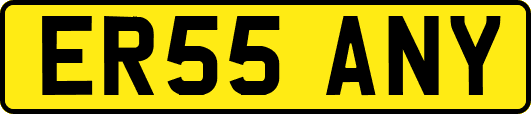 ER55ANY