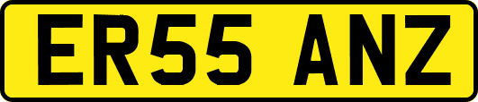 ER55ANZ