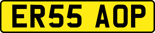 ER55AOP