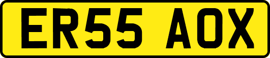 ER55AOX