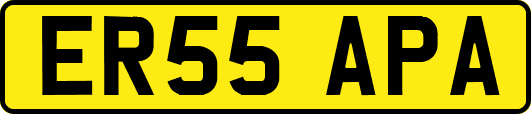 ER55APA