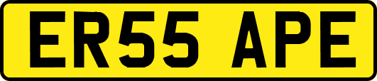 ER55APE