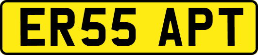 ER55APT