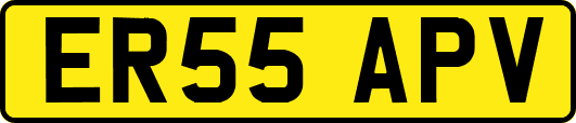 ER55APV