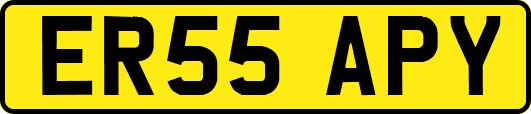ER55APY