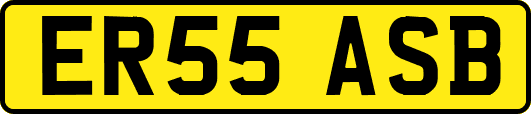 ER55ASB