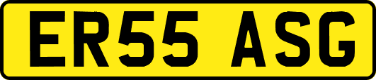 ER55ASG
