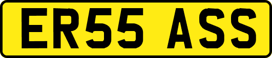 ER55ASS