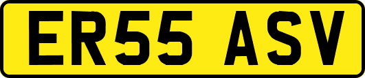 ER55ASV