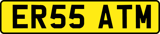 ER55ATM
