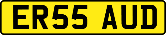 ER55AUD
