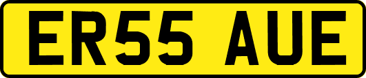 ER55AUE