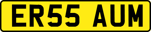 ER55AUM