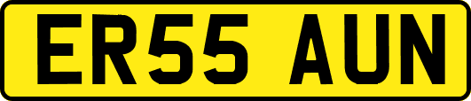 ER55AUN