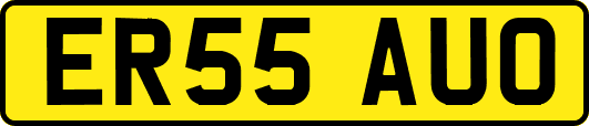 ER55AUO