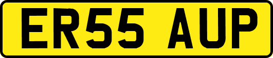 ER55AUP