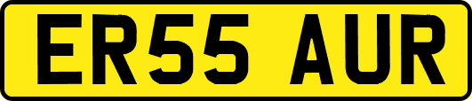 ER55AUR
