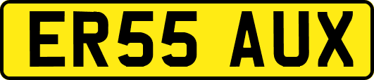 ER55AUX