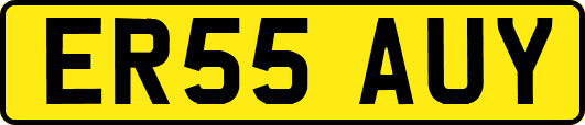 ER55AUY