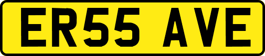 ER55AVE