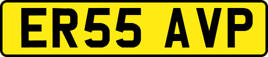 ER55AVP