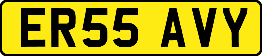 ER55AVY