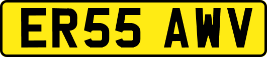 ER55AWV