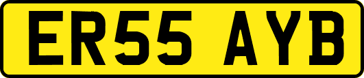 ER55AYB