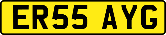 ER55AYG