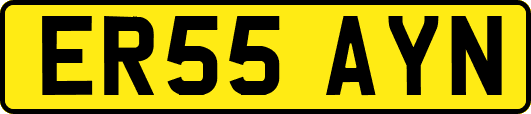 ER55AYN