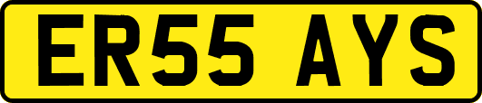 ER55AYS