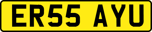 ER55AYU
