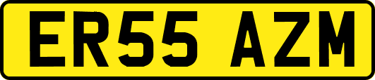 ER55AZM