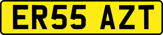ER55AZT