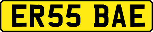 ER55BAE