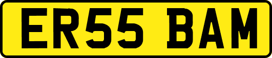 ER55BAM