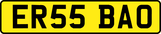 ER55BAO