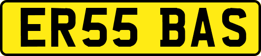 ER55BAS