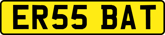 ER55BAT