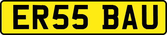 ER55BAU