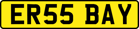 ER55BAY