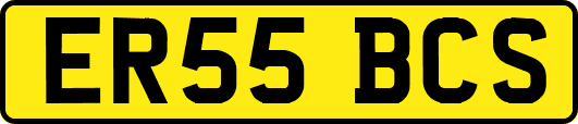 ER55BCS