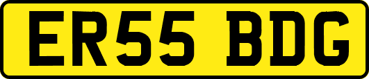 ER55BDG