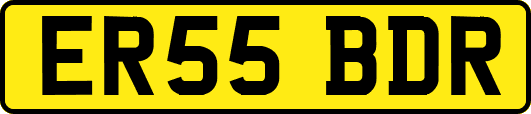 ER55BDR