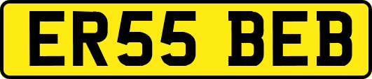 ER55BEB