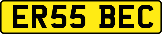 ER55BEC