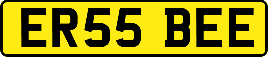 ER55BEE